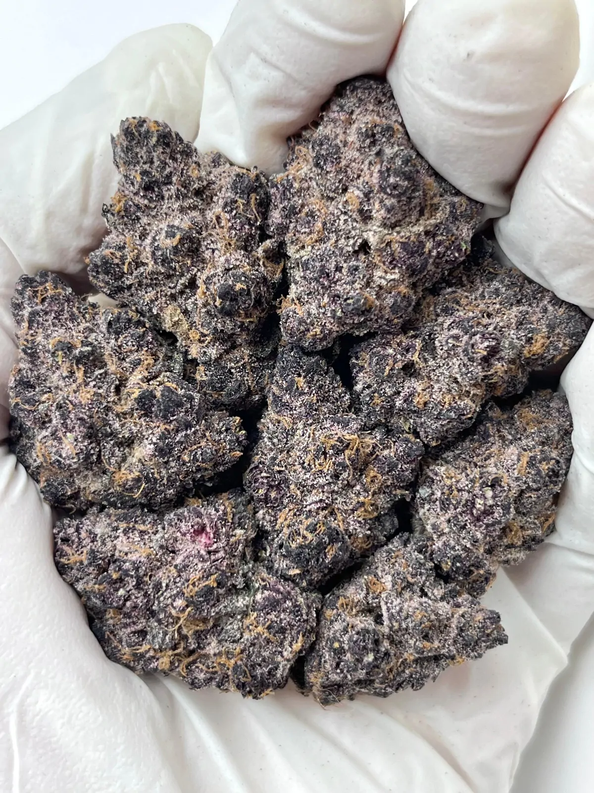 Blockberry Flower